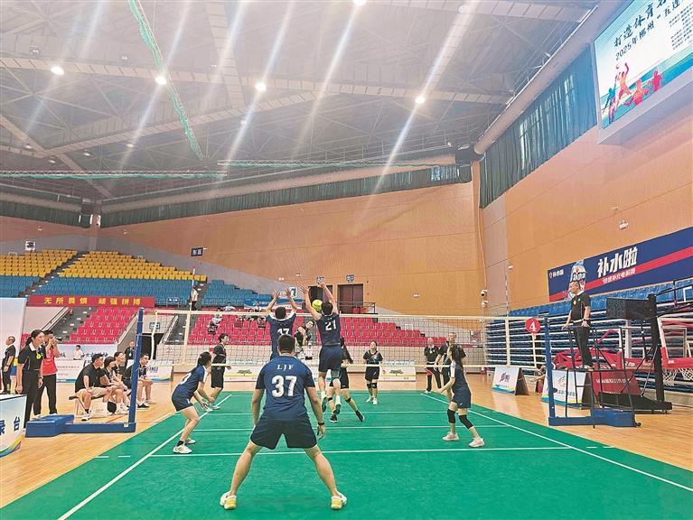 体现了体育 体现了体育